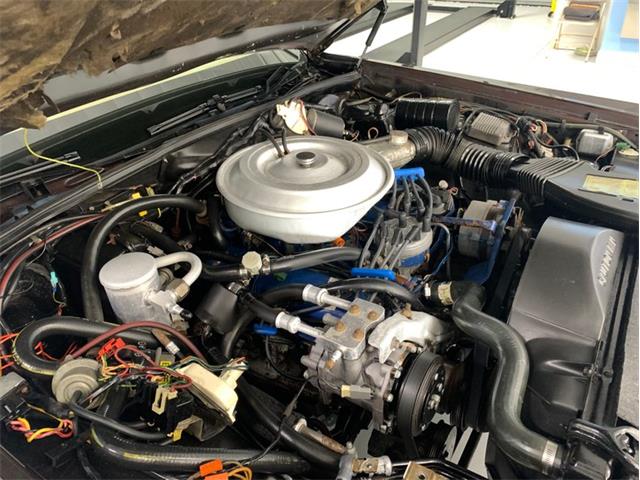 1980 Lincoln Town Car (CC-1362949) for sale in Palmetto, Florida