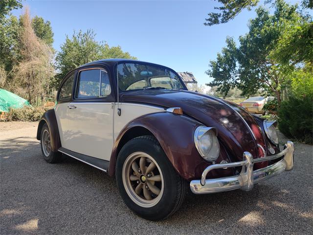 1965 Volkswagen Beetle (CC-1363063) for sale in Bloomfield, New Mexico