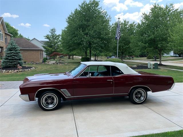 1967 Buick Skylark (CC-1363513) for sale in NORTH ROYALTON, Ohio