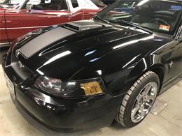 2003 Ford Mustang Cobra (CC-1363593) for sale in Stratford, New Jersey
