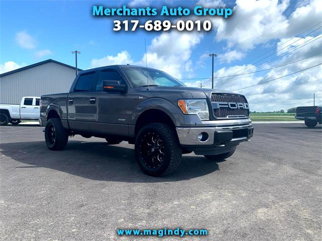 2011 Ford F150 (CC-1363749) for sale in Cicero, Indiana