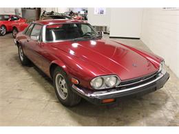 1984 Jaguar XJS (CC-1364917) for sale in Elyria, Ohio