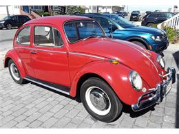 1966 Volkswagen Beetle (CC-1360544) for sale in Lavallette, New Jersey