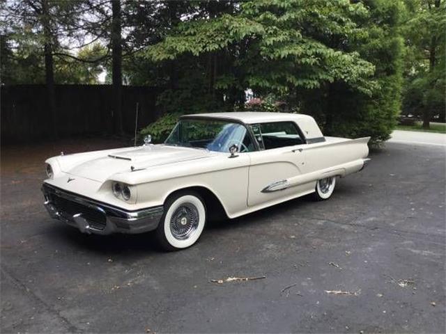 1959 Ford Thunderbird (CC-1365601) for sale in Cadillac, Michigan