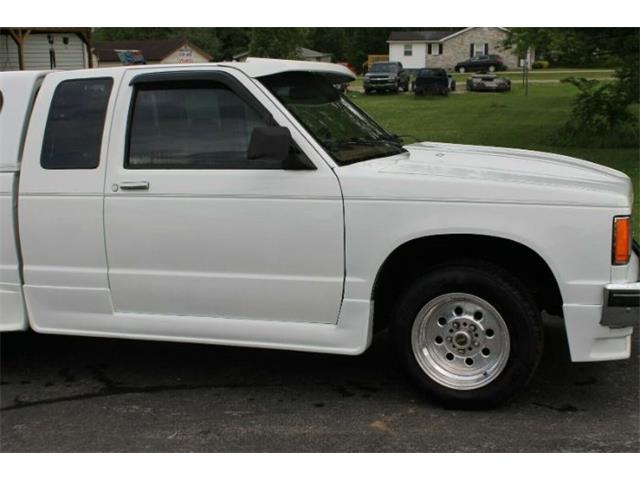 1988 Chevrolet S10 (CC-1365609) for sale in Cadillac, Michigan