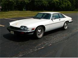 1985 Jaguar XJS (CC-1365813) for sale in Cadillac, Michigan