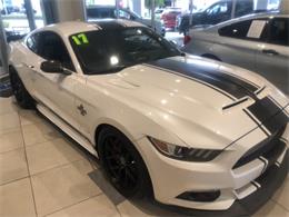 2017 Shelby GT (CC-1365975) for sale in Naples, Florida