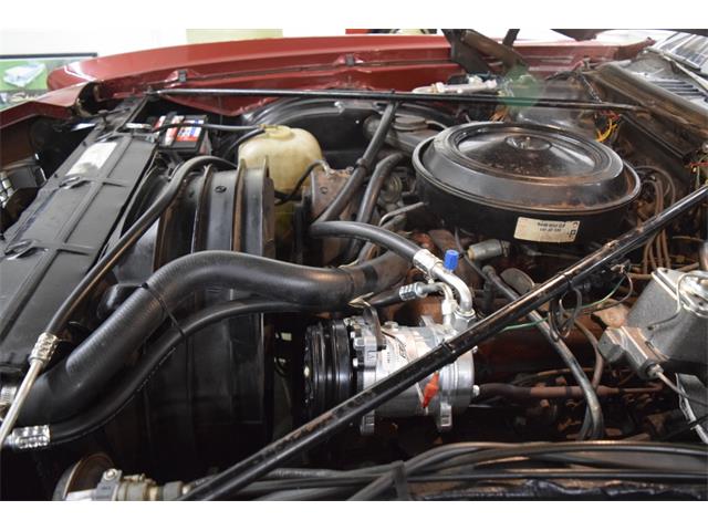 1973 Chevrolet Monte Carlo (CC-1366326) for sale in Fredericksburg, Virginia