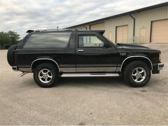 1985 Chevrolet Blazer (CC-1360653) for sale in Cadillac, Michigan