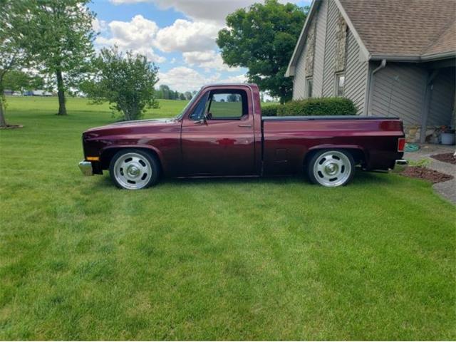 1984 Chevrolet C10 (CC-1367290) for sale in Cadillac, Michigan