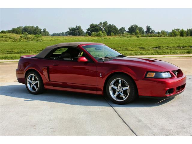 2003 Ford Mustang SVT Cobra (CC-1368173) for sale in Tulsa, Oklahoma