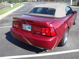 2003 Ford Mustang SVT Cobra (CC-1368173) for sale in Tulsa, Oklahoma