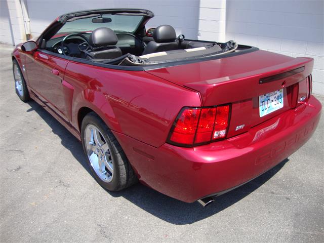 2003 Ford Mustang SVT Cobra (CC-1368173) for sale in Tulsa, Oklahoma
