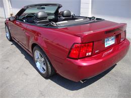 2003 Ford Mustang SVT Cobra (CC-1368173) for sale in Tulsa, Oklahoma