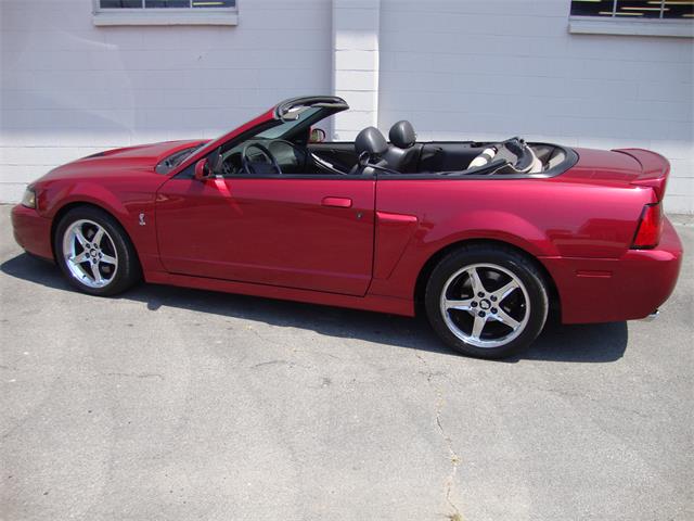 2003 Ford Mustang SVT Cobra (CC-1368173) for sale in Tulsa, Oklahoma