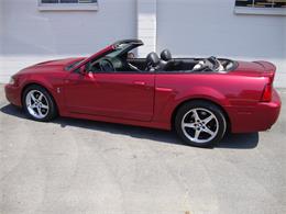 2003 Ford Mustang SVT Cobra (CC-1368173) for sale in Tulsa, Oklahoma