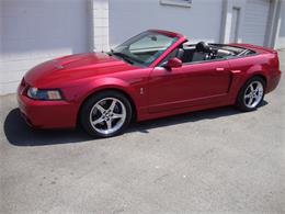 2003 Ford Mustang SVT Cobra (CC-1368173) for sale in Tulsa, Oklahoma