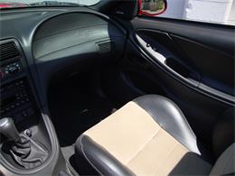 2003 Ford Mustang SVT Cobra (CC-1368173) for sale in Tulsa, Oklahoma