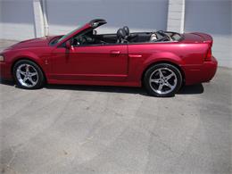 2003 Ford Mustang SVT Cobra (CC-1368173) for sale in Tulsa, Oklahoma
