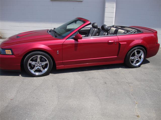 2003 Ford Mustang SVT Cobra (CC-1368173) for sale in Tulsa, Oklahoma