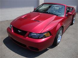 2003 Ford Mustang SVT Cobra (CC-1368173) for sale in Tulsa, Oklahoma