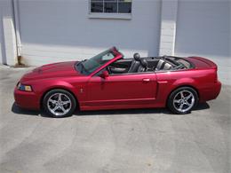 2003 Ford Mustang SVT Cobra (CC-1368173) for sale in Tulsa, Oklahoma
