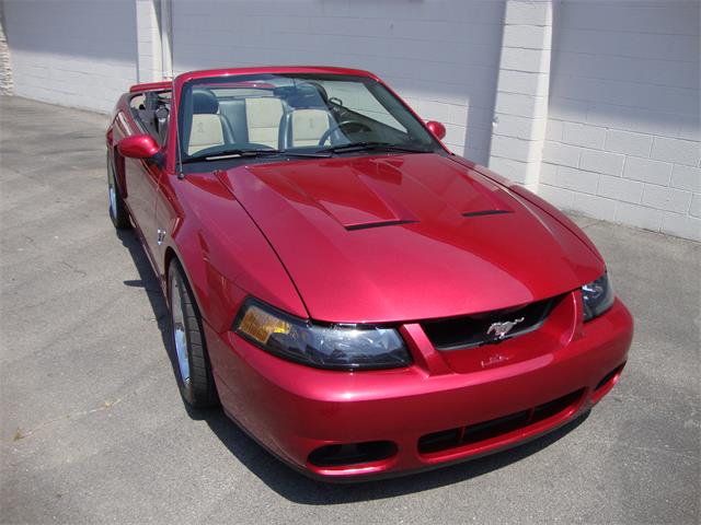 2003 Ford Mustang SVT Cobra (CC-1368173) for sale in Tulsa, Oklahoma