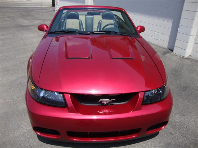 2003 Ford Mustang SVT Cobra (CC-1368173) for sale in Tulsa, Oklahoma