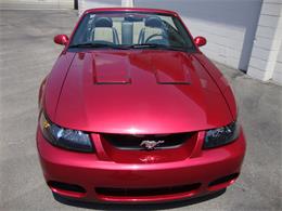2003 Ford Mustang SVT Cobra (CC-1368173) for sale in Tulsa, Oklahoma