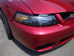 2003 Ford Mustang SVT Cobra (CC-1368173) for sale in Tulsa, Oklahoma