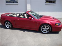 2003 Ford Mustang SVT Cobra (CC-1368173) for sale in Tulsa, Oklahoma