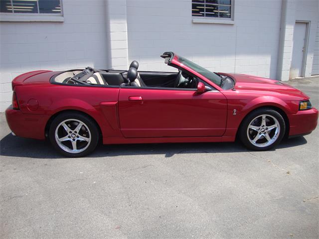 2003 Ford Mustang SVT Cobra (CC-1368173) for sale in Tulsa, Oklahoma