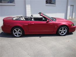 2003 Ford Mustang SVT Cobra (CC-1368173) for sale in Tulsa, Oklahoma