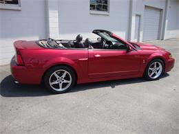 2003 Ford Mustang SVT Cobra (CC-1368173) for sale in Tulsa, Oklahoma