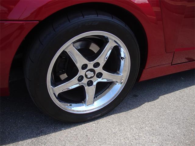 2003 Ford Mustang SVT Cobra (CC-1368173) for sale in Tulsa, Oklahoma