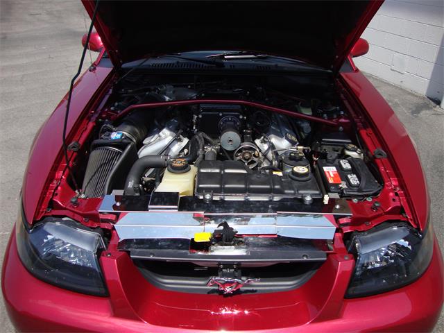 2003 Ford Mustang SVT Cobra (CC-1368173) for sale in Tulsa, Oklahoma