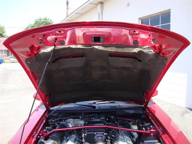 2003 Ford Mustang SVT Cobra (CC-1368173) for sale in Tulsa, Oklahoma