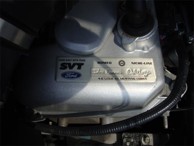2003 Ford Mustang SVT Cobra (CC-1368173) for sale in Tulsa, Oklahoma