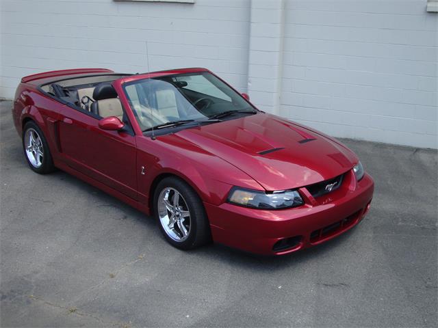 2003 Ford Mustang SVT Cobra (CC-1368173) for sale in Tulsa, Oklahoma