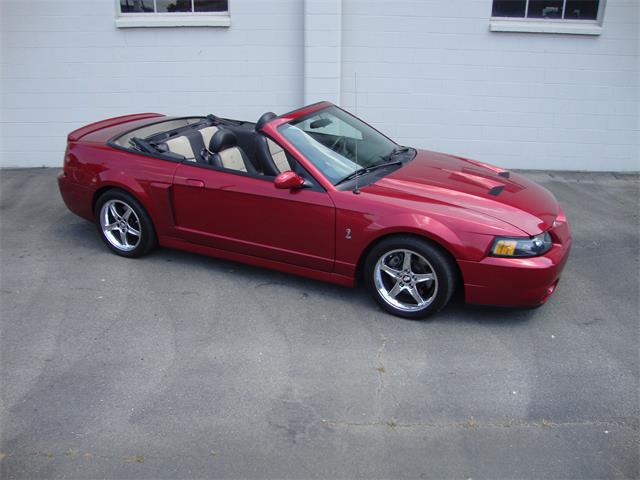 2003 Ford Mustang SVT Cobra (CC-1368173) for sale in Tulsa, Oklahoma