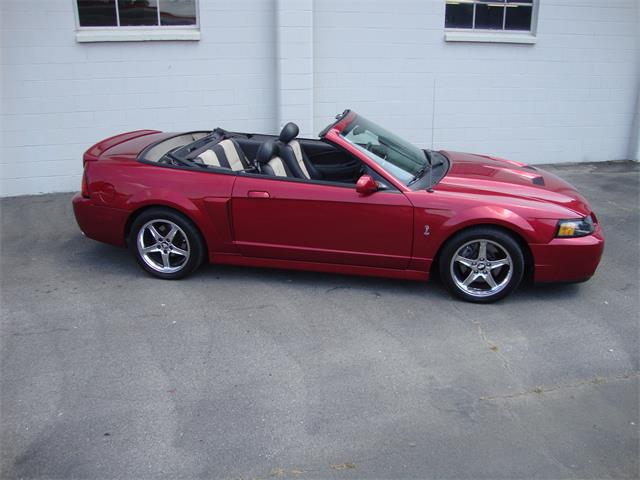 2003 Ford Mustang SVT Cobra (CC-1368173) for sale in Tulsa, Oklahoma