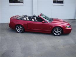 2003 Ford Mustang SVT Cobra (CC-1368173) for sale in Tulsa, Oklahoma