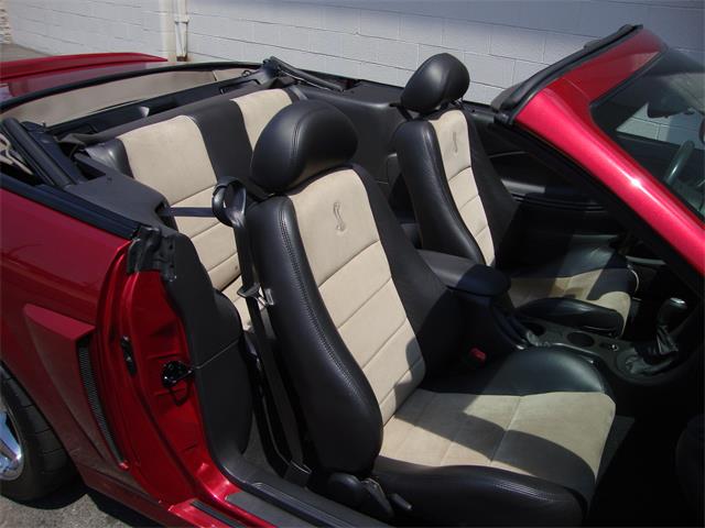 2003 Ford Mustang SVT Cobra (CC-1368173) for sale in Tulsa, Oklahoma