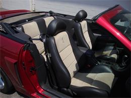 2003 Ford Mustang SVT Cobra (CC-1368173) for sale in Tulsa, Oklahoma