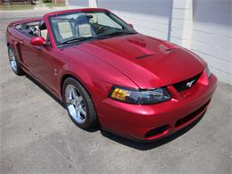 2003 Ford Mustang SVT Cobra (CC-1368173) for sale in Tulsa, Oklahoma