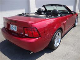 2003 Ford Mustang SVT Cobra (CC-1368173) for sale in Tulsa, Oklahoma