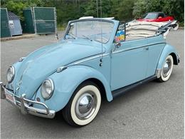 1959 Volkswagen Beetle (CC-1368217) for sale in Falmouth, Massachusetts