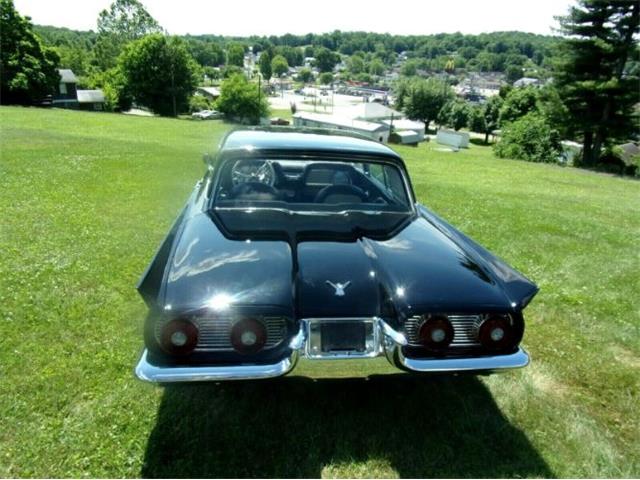 1959 Ford Thunderbird (CC-1368430) for sale in Cadillac, Michigan