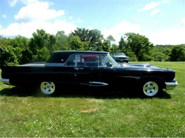 1959 Ford Thunderbird (CC-1368430) for sale in Cadillac, Michigan