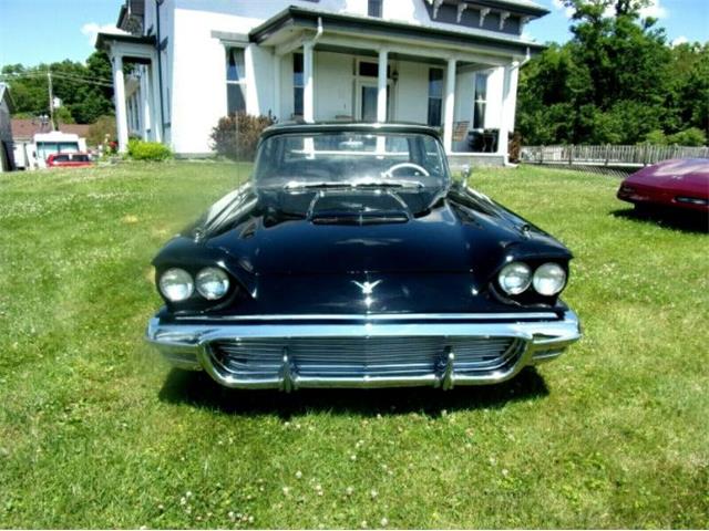 1959 Ford Thunderbird (CC-1368430) for sale in Cadillac, Michigan